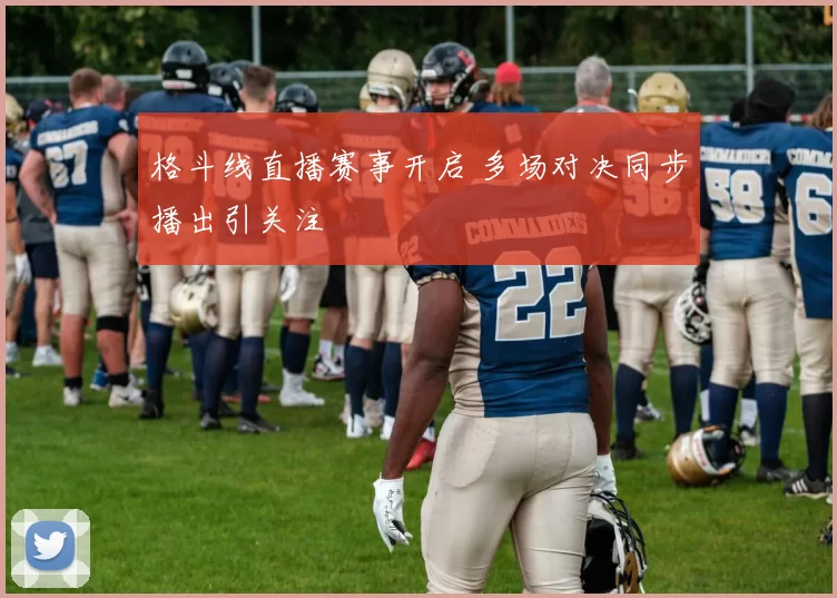 格斗线直播赛事开启 多场对决同步播出引关注