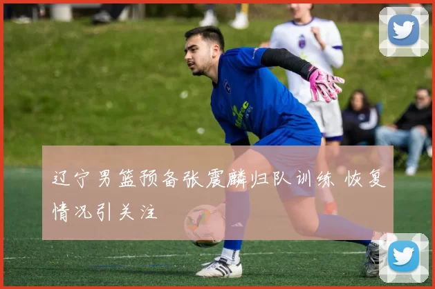 辽宁男篮预备张震麟归队训练 恢复情况引关注
