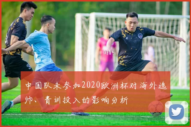 中国队未参加2020欧洲杯对海外选帅、青训投入的影响分析