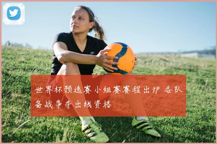 世界杯预选赛小组赛赛程出炉 各队备战争夺出线资格
