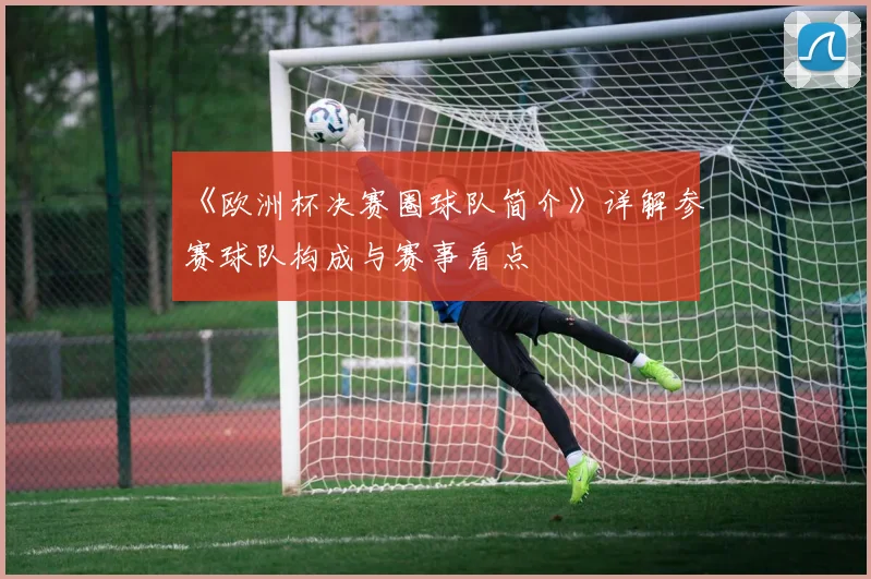 《欧洲杯决赛圈球队简介》详解参赛球队构成与赛事看点