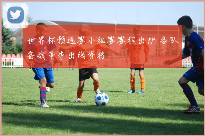世界杯预选赛小组赛赛程出炉 各队备战争夺出线资格